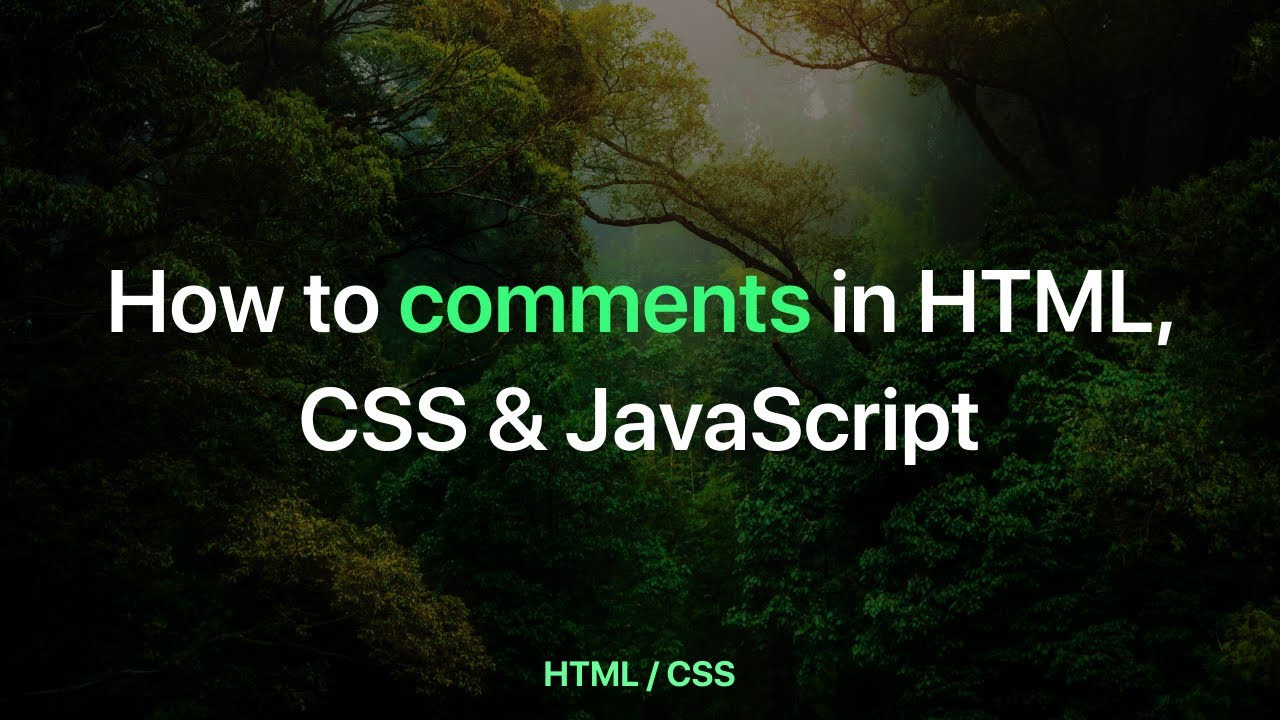 How to comments in HTML, CSS & JavaScript