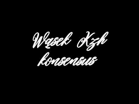 Wąsek x Kzh - konsensus