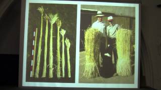 Bread of the Ancestors: Heritage Cereals for Modern Consumers