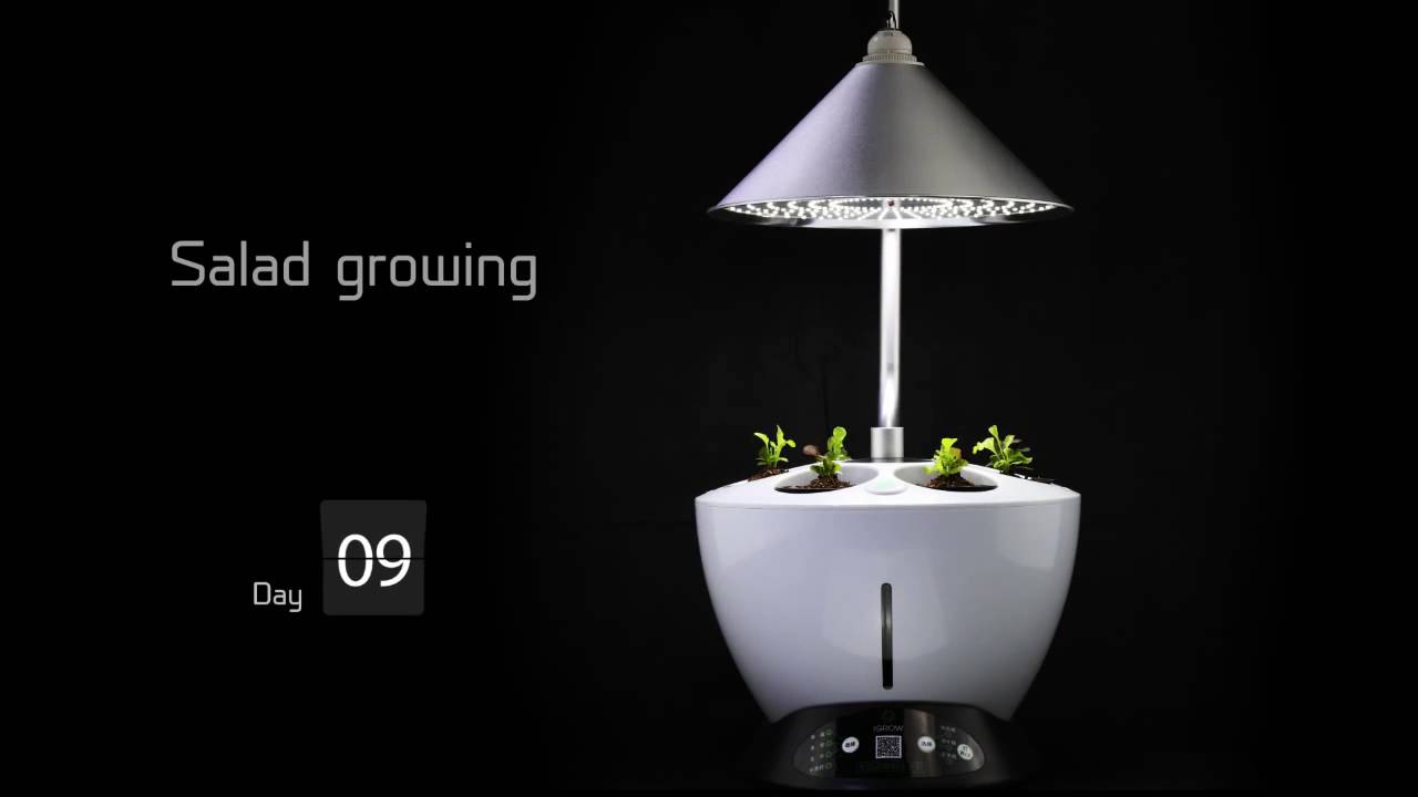 123WeGrow Video Thumbnail