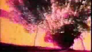 Television Personalities - girl on a Motocycle