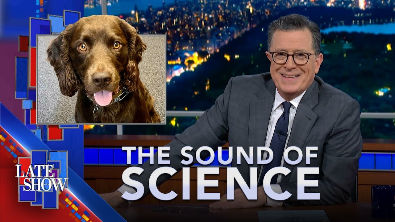 The Sound Of Science: A Dog's Real Age | Your Couch Might Kill You | Perfecting Plant-Based Eggs