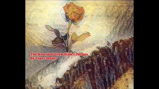 "The Rose that Grew from Concrete" by Tupac Shakur