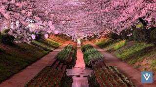 Alle Farben ft. Graham Candy - She Moves (Aerokind Remix) [Deep House]