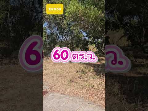 ที่ดินมีนบุรี 60 ตร.ว. ถมแล้ว ซอยราษฎร์อุทิศ 10 เขตมีนบุรี กรุงเทพ – รูปที่ 2