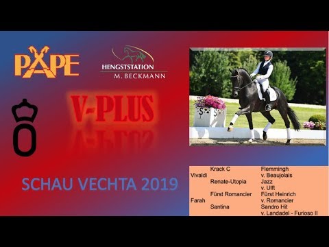 V Plus @ Schau Vechta 2019