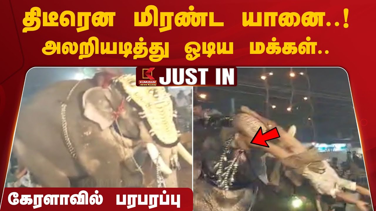 திடீரென மிரண்ட யானை! அலறியடித்து ஓடிய மக்கள்.. Kerala-வில் பரபரப்பு