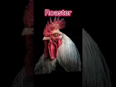 Dead Animals Moving 🤯 #shorts #viral