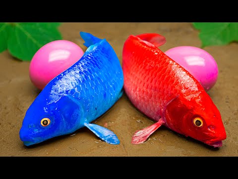 Nerf War : Super Thief Carp With Eel, Lego Car - Primitive Cooking - Stop Motion ASMR - Coco