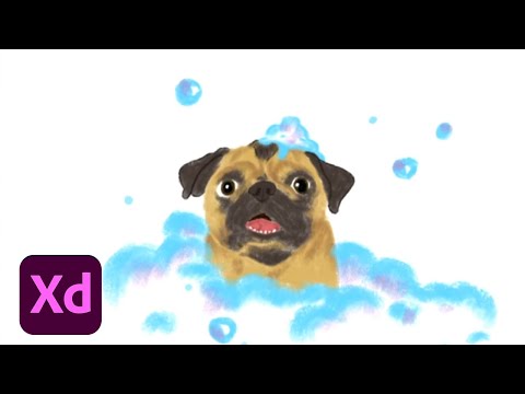 Design in Adobe XD on Windows with Daniel Alegria 3/3 | Adobe Creative Cloud