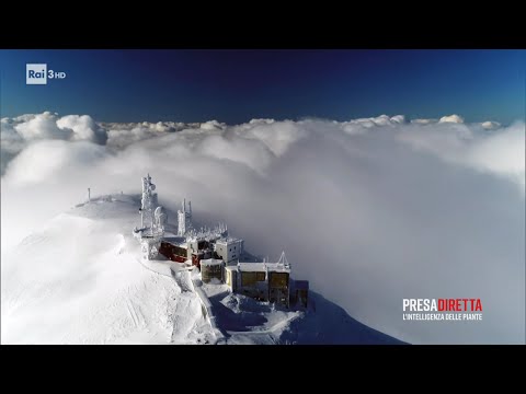 La qualità dell'aria e la lotta contro l'inquinamento - PresaDiretta 27/04/2025