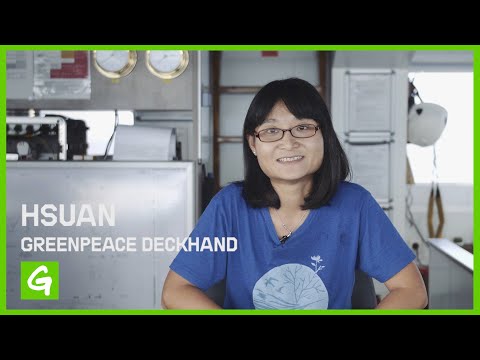 What it's like to be Crew Member on a Greenpeace Ship