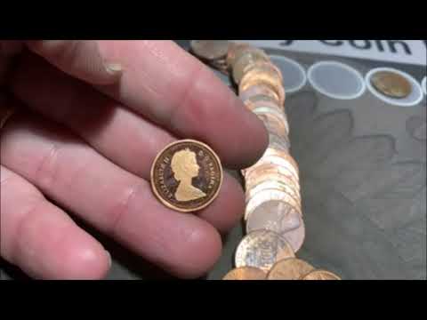 penny box hunt... found something new & awesome