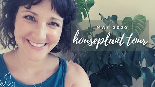 Houseplant Tour