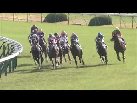 2019.11.17 2yo Newcomer (JPN) - Diamant Minoru