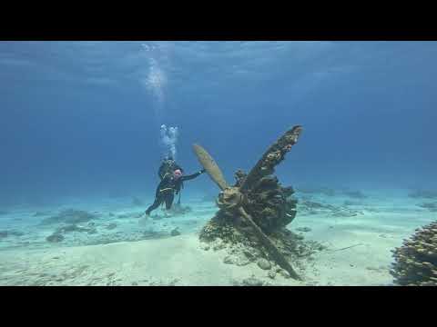 Igor Pumphonia feat Ladynsax   TributeDub ChillRecords 🎶