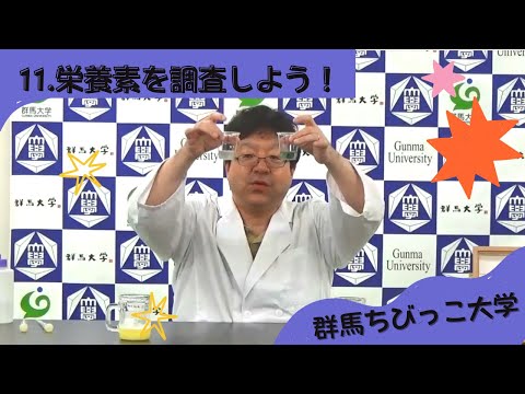 11 栄養素を検査しよう！
