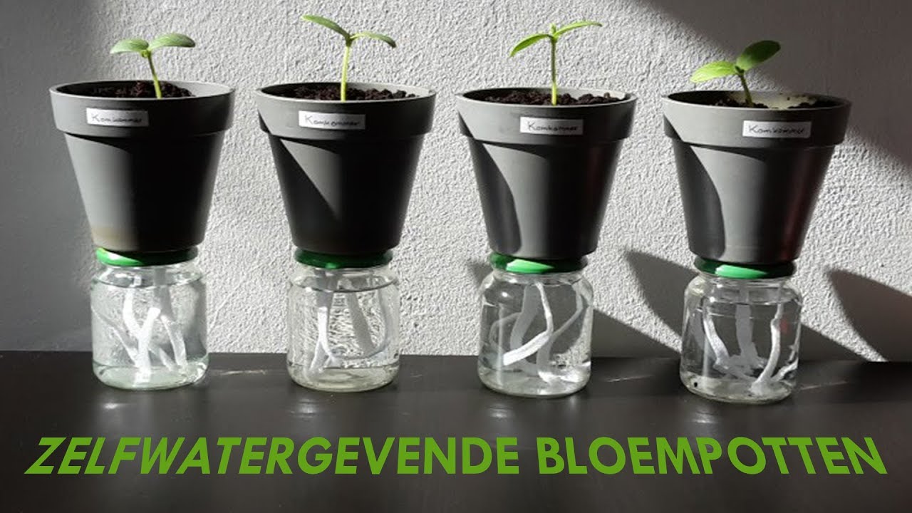DIY - Zelfwatergevende bloempotten