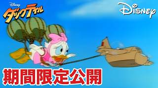 【期間限定無料公開】ダックテイル | ウェビー巨大になる