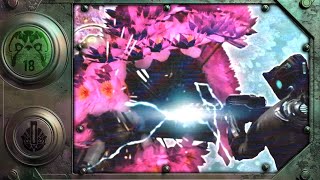 [Archived] Peculiar Amprex
