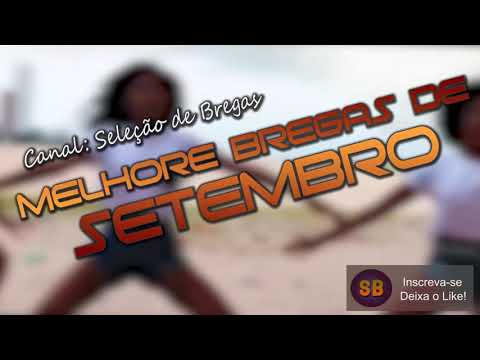 SHEVCHENKO E ELLOCO FEAT. MC LEVIN - TROPA DAS AMIGUINHAS (Remix)
