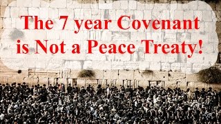 The 7 year Covenant is Not a Peace Agreement