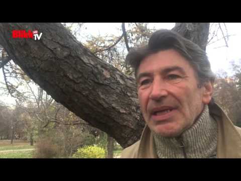 Somogyi István: "Nem vertem meg Horgas Esztert"