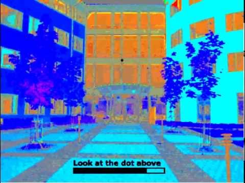 Black and White in Color Illusion