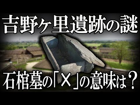 なぜツゲの蛾捕りを作るのですか？万全の予防！  庭園