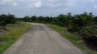 preview picture of video 'Plantation road in Pengerang'