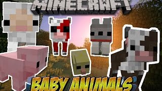 minecraft baby animals resource pack minecraft baby animals resource pack