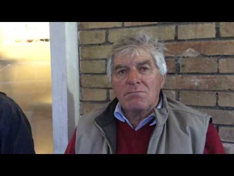 yes, weekend! IL Remo: speciale canottagio XXIX Memorial 'Paolo D'Aloja'