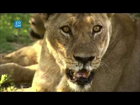 Prima ZOOM - Příroda