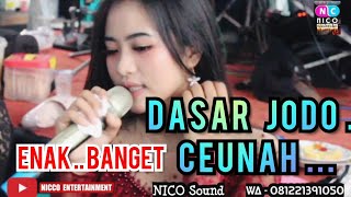 Download lagu DASAR JODO KOPLO BAJIDORAN || live show @Nicco entertainment mp3
