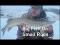 Video Thumbnail for Big Fish On Small Rods (Ice Fishing)