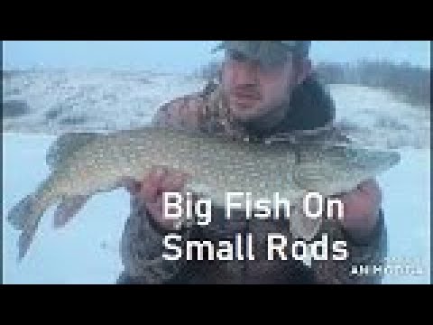 Big Fish On Small Rods (Ice Fishing)