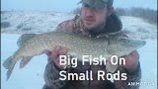 Big Fish On Small Rods (Ice Fishing)