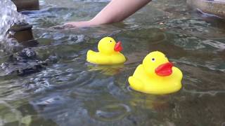 Gin Wigmore - Kill of The Night (Official Music Video)