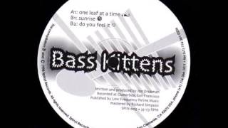 Bass Kittens - Sunrise