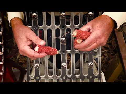 Marion Calmer on Recommended Combine Concaves for Harvesting Corn