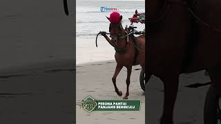 Pesona Pantai Panjang Bengkulu, Tempat Ngabuburit Favorit dengan Panorama Sunset Memukau