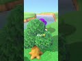 Why Viral Trending Sad Animalcrossing Shorts Short