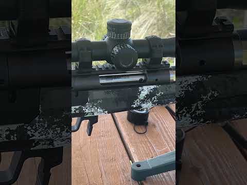 Savage Axis Pro Accuracy Test | Budget Rifle Reality Check