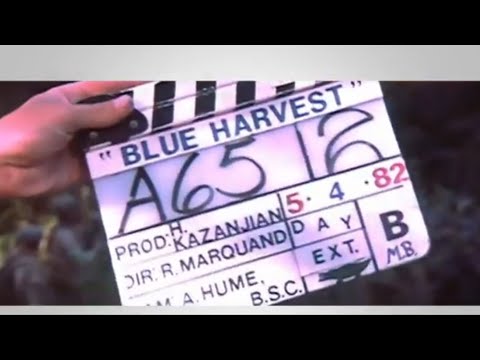 In Memoriam of 'Blue Harvest' 2022