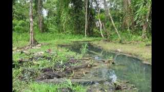 preview picture of video 'The Pancor Hot Spring at Kuching, Serian'