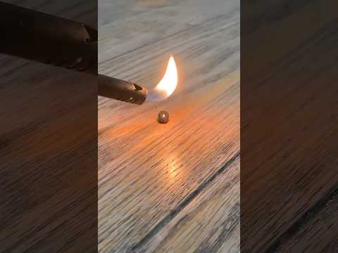 Torching an engorged deer tick crawling on my house floor 🫣