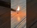 Torching An Engorged Deer Tick Crawling On My House Floor 🫣