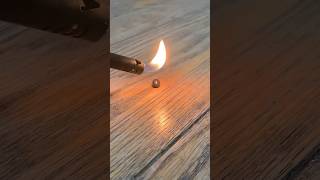 Torching an engorged deer tick crawling on my house floor 🫣