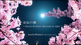 Original Koto Music【夜桜の舞～Dance of cherry blossoms at night～】