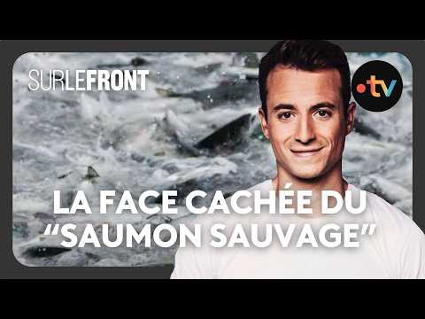 Du "saumon sauvage d'Alaska", vraiment sauvage ?! - Sur le front avec Hugo Clément 16 décembre 2024